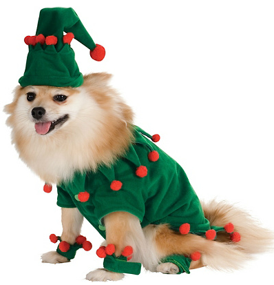 Elf-Dog-Costume